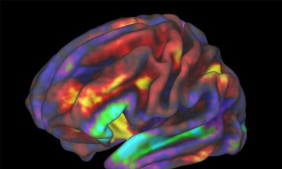 Nghi&ecirc;n cứu: Trẻ em nh&igrave;n m&agrave;n h&igrave;nh hơn 7 giờ mỗi ng&agrave;y c&oacute; cấu tr&uacute;c n&atilde;o bộ kh&aacute;c biệt